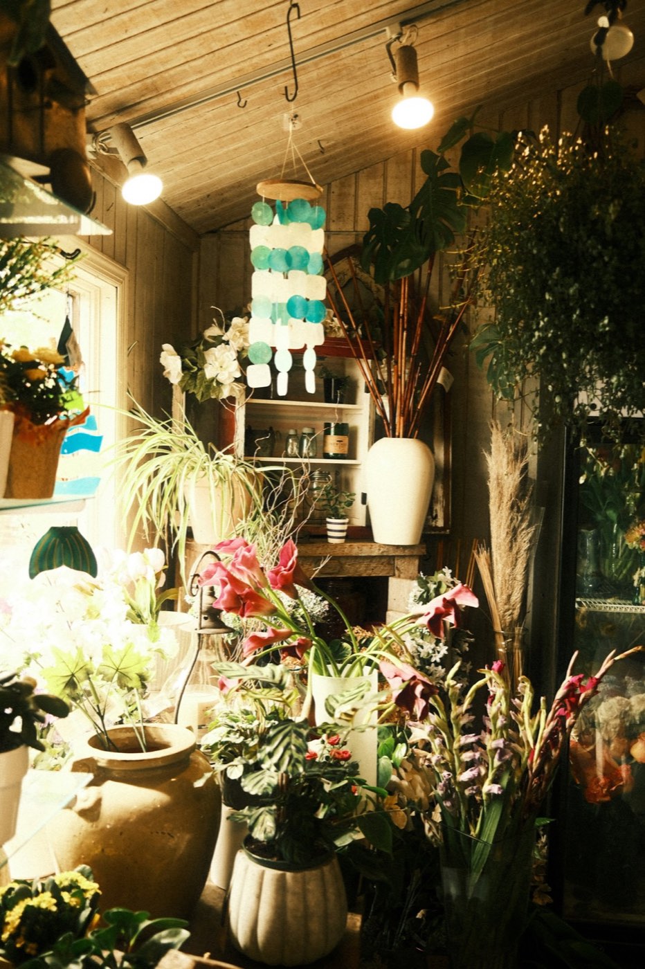 A shelf corner styled with plants, baskets and small ceramics